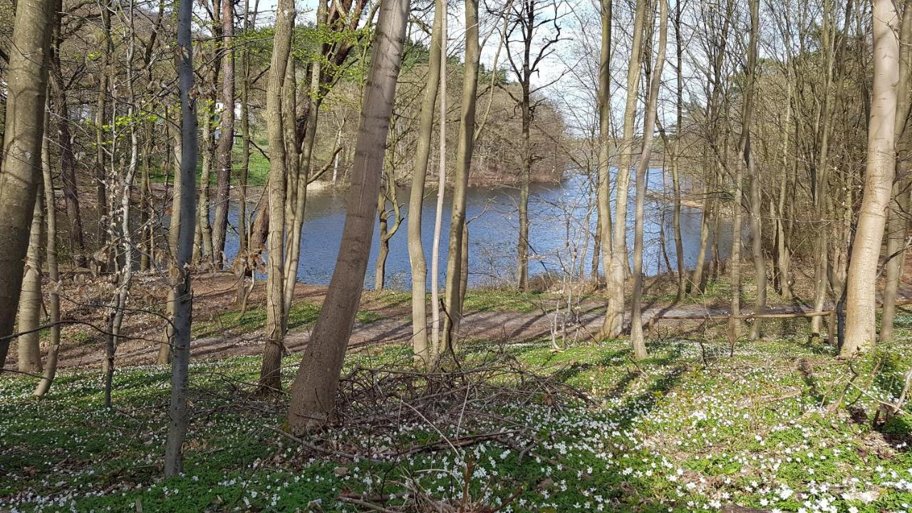 Niebieski Zakatek Wisełka Buitenkant foto