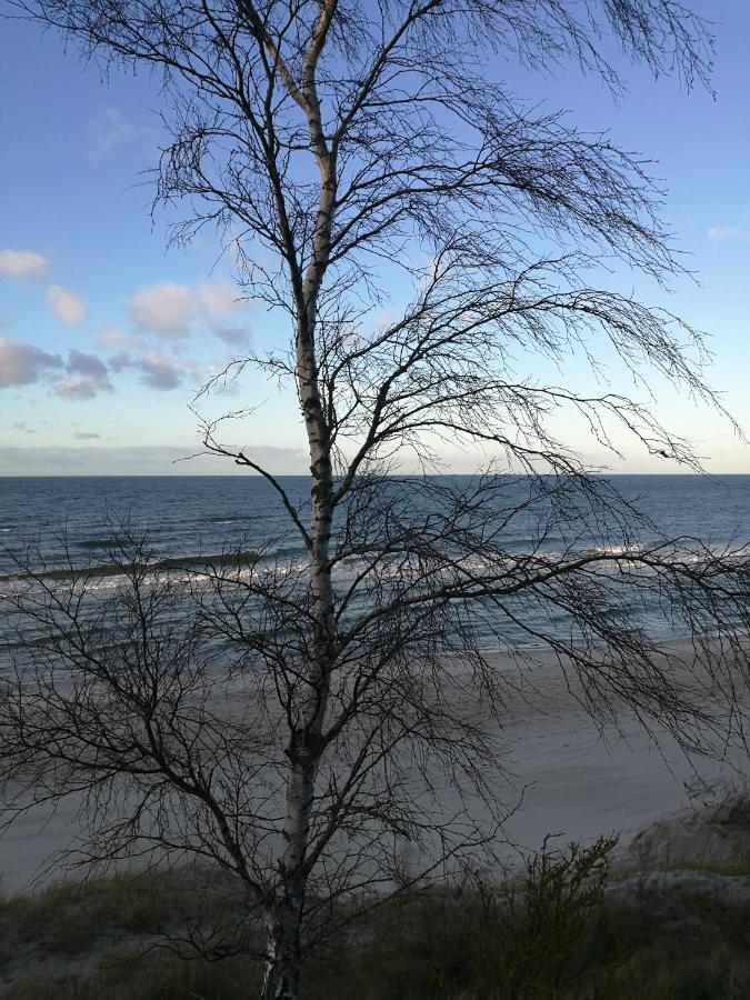 Niebieski Zakatek Wisełka Buitenkant foto