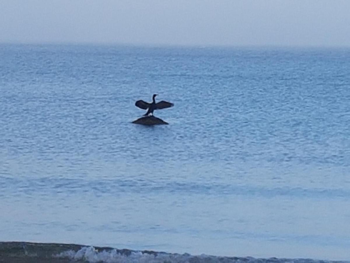 Niebieski Zakatek Wisełka Buitenkant foto