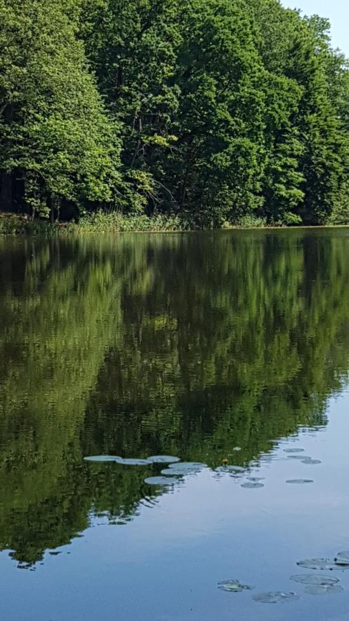 Niebieski Zakatek Wisełka Buitenkant foto